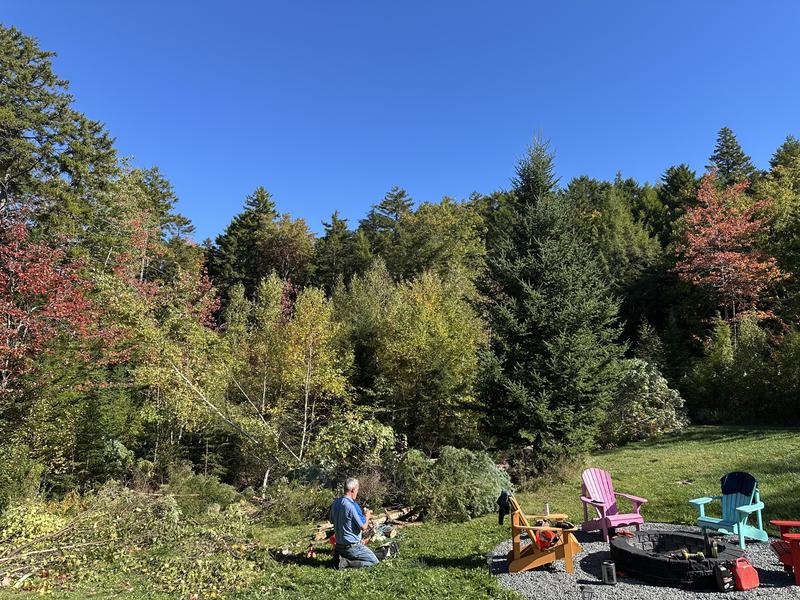 Photo - commentaire 3.