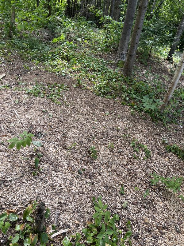 Photo - commentaire 8.