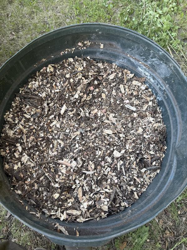 Photo - commentaire 7.