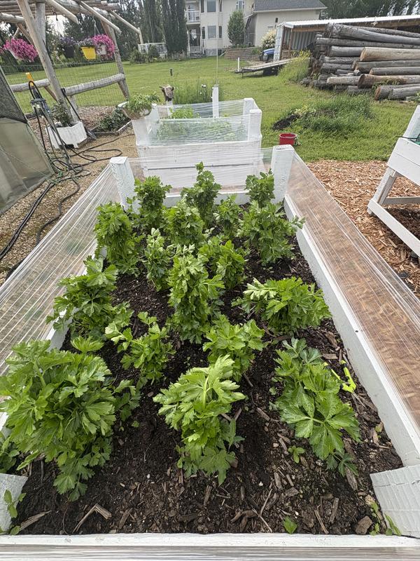 Photo - commentaire&nbsp;2.