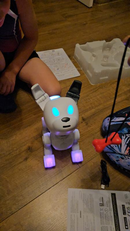 Dog E Interactive Robot With