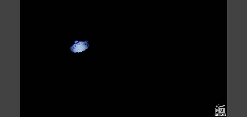 Photo - commentaire 3.