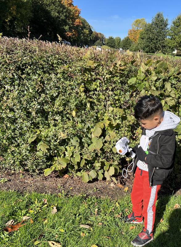 Photo - commentaire 5.