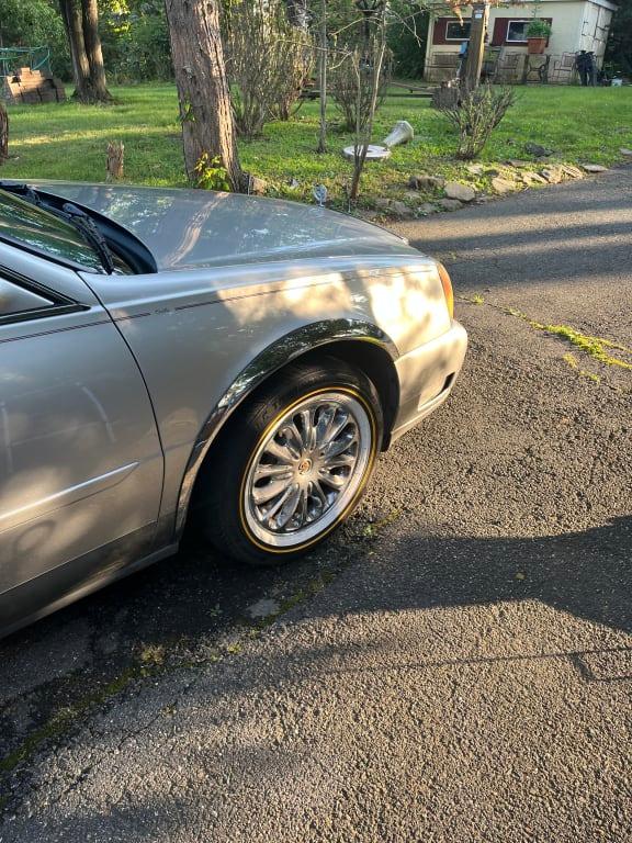 Chemical Guys 16oz P4 Smalto Di Precisione Per Vernice Di - Foto 9