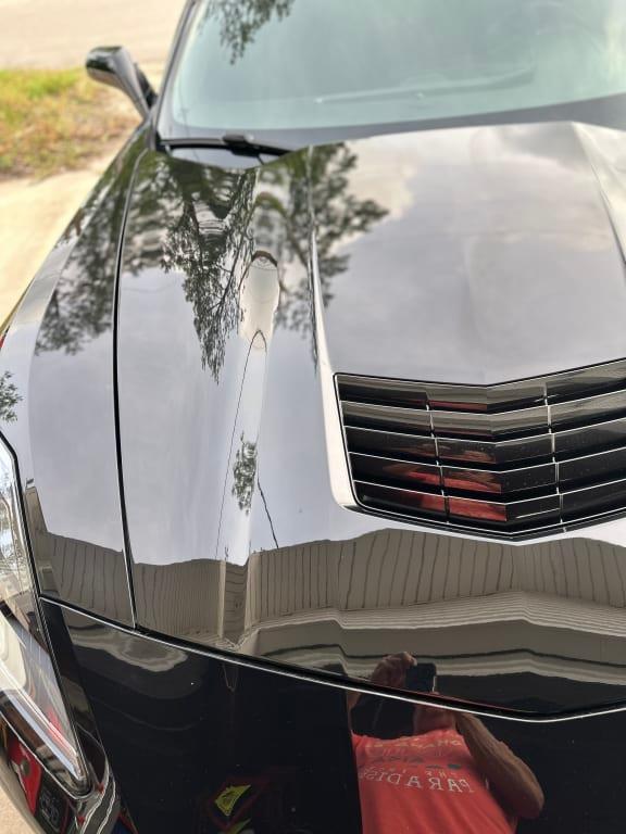 Photo - commentaire 7.