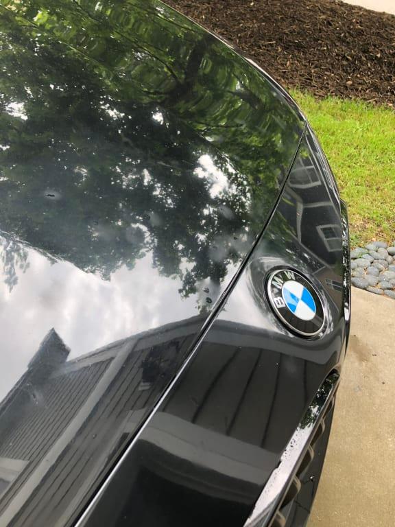 Chemical Guys VSS Scratch and Swirl Remover Compound Polish 16oz Reviews