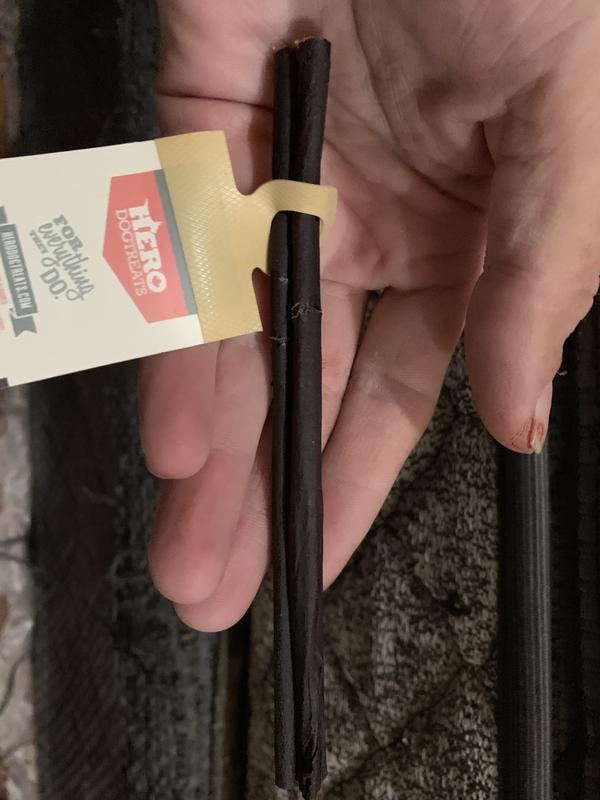 My 5 month old pup loved this “twig”