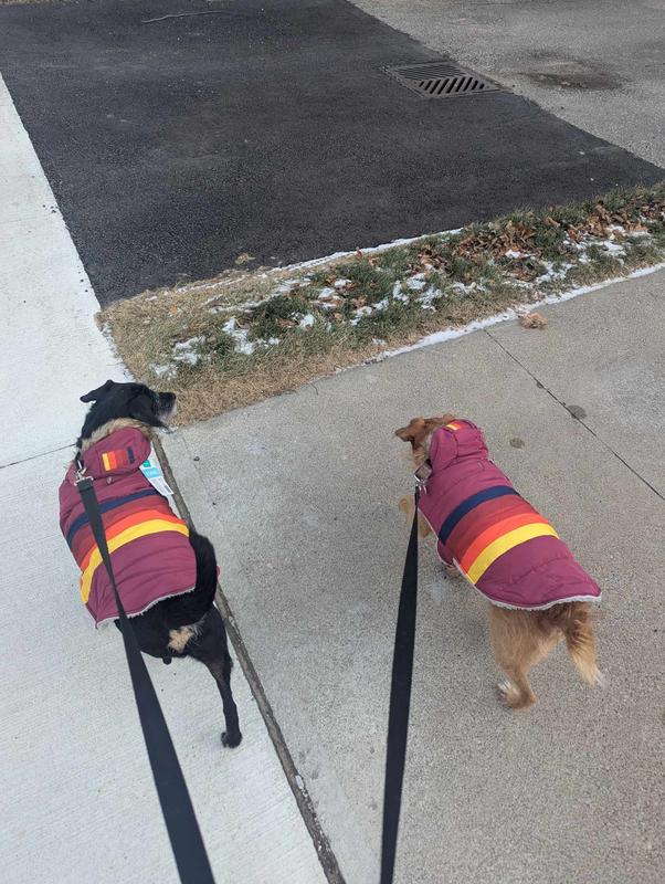 Bette & Davis Strutting their stuff!