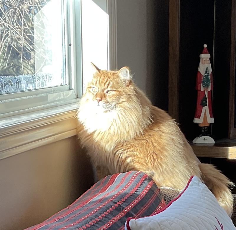 Bobby watching birds on a frigid day.