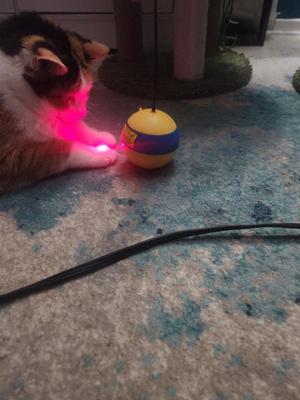 Nalani With Her Soulmate 😛🥰