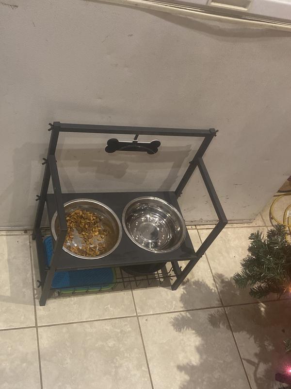 Does half a bowl,  Bandit take a break