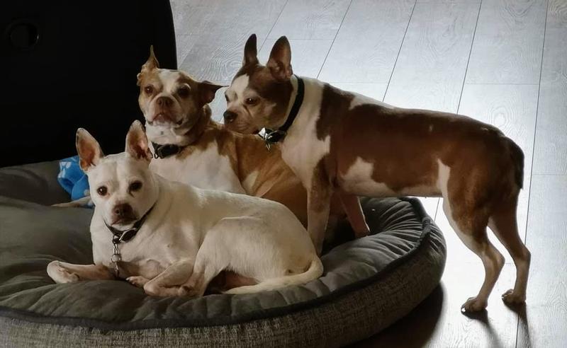 My 12&15 yr old ladies.