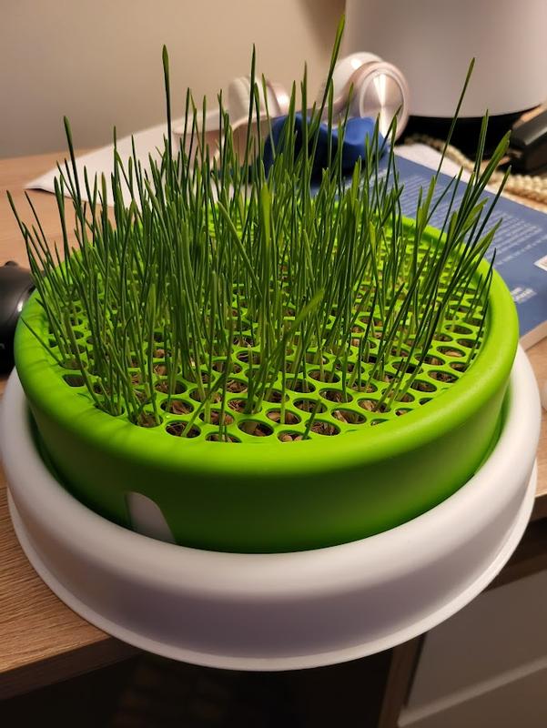 after 5 days of receiving the Kit, Amazing so happy.