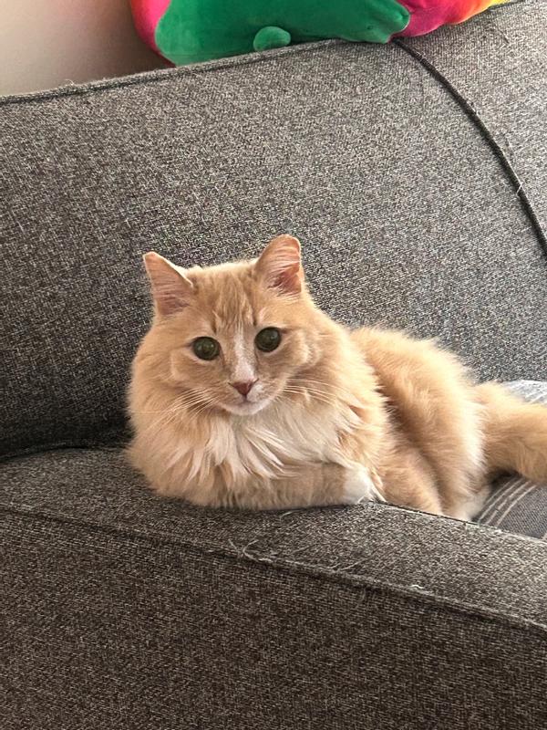 King Marvin approves