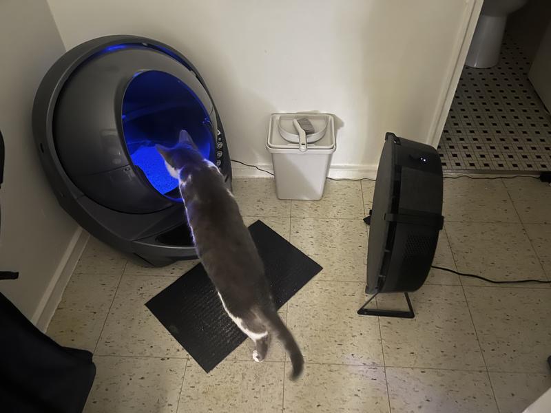 super smelly robot + my lovely cat