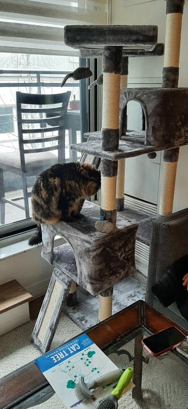 he is going to love it