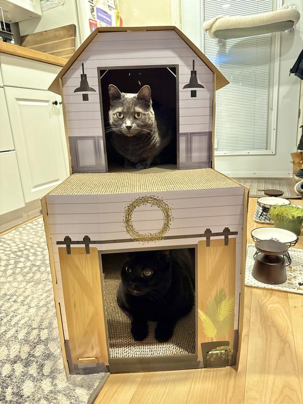 My cats absolutely LOVE this!!