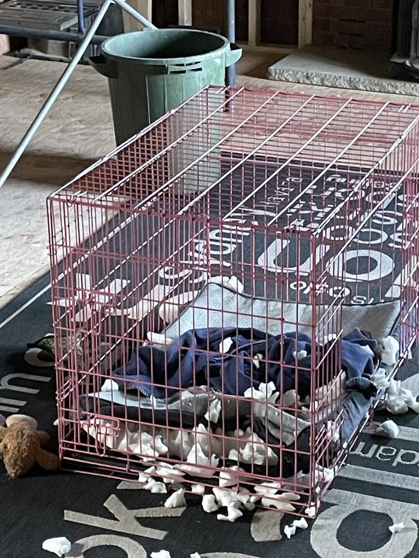 FRISCO Cooling Orthopedic Dog Crate Mat, 24in Chewy Canada