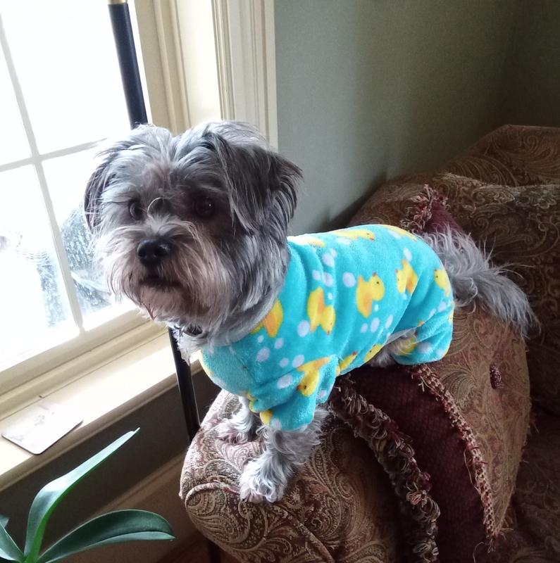 Great quality and fit