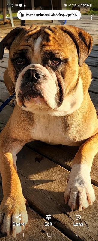 Sun bathing, after dinner.