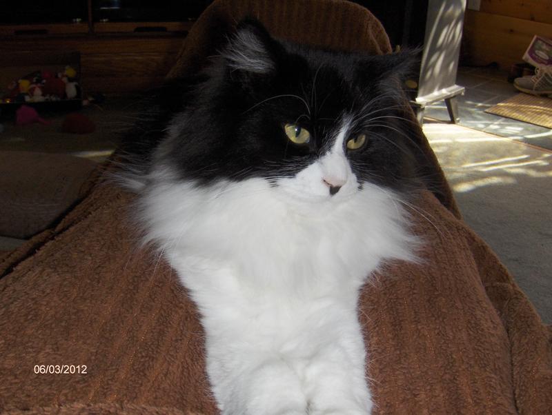 Hi, I'm Emily and I love your food and treats.