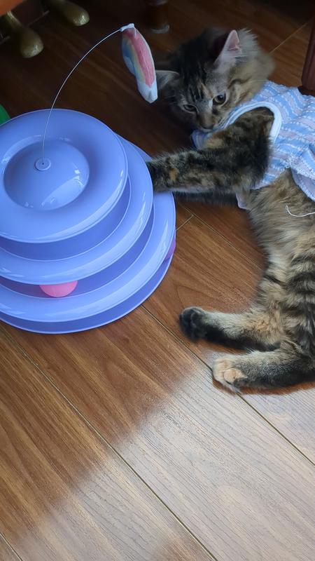 Endless hours of playtime for cats