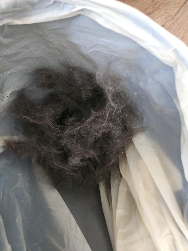 A ton of fur from Peanut