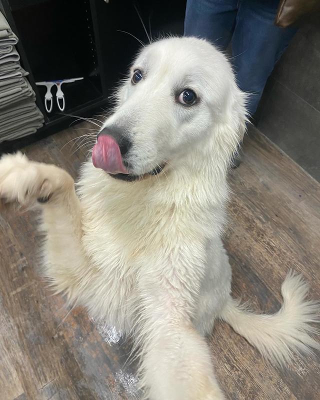 Dana was very happy 😊