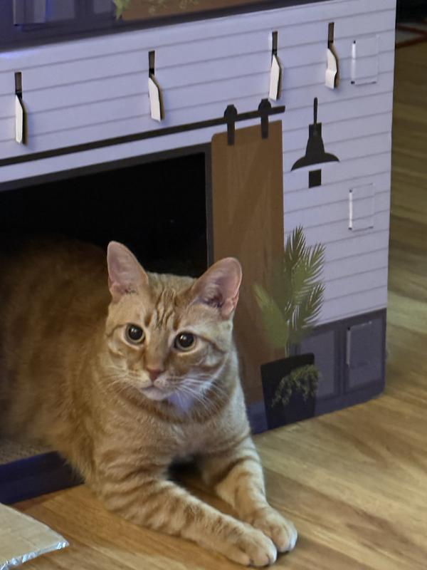 Tom loves his new house!