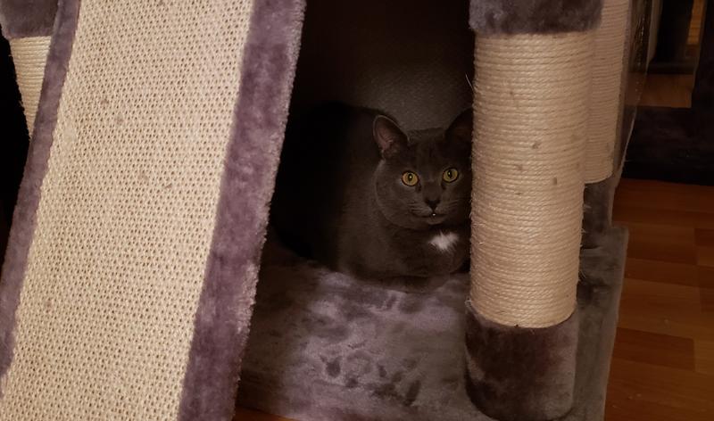 George hiding out at first