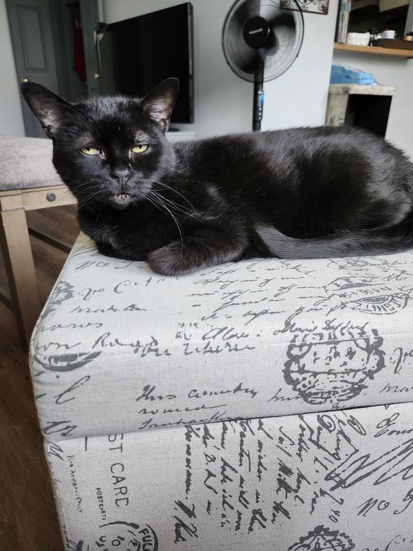 Peanut, the princess