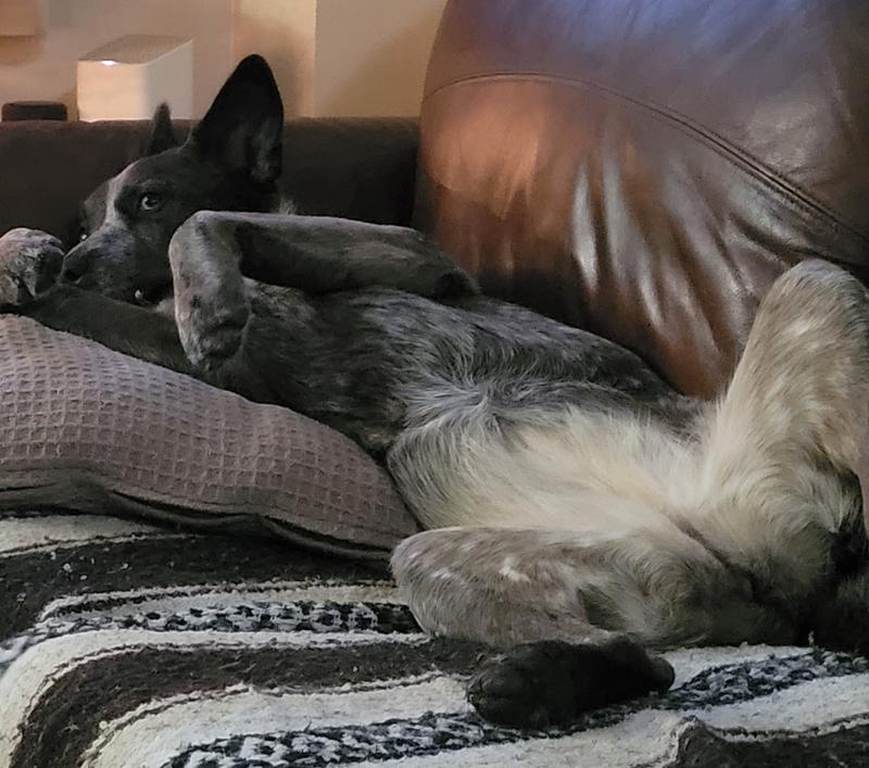 Rest time after play time.