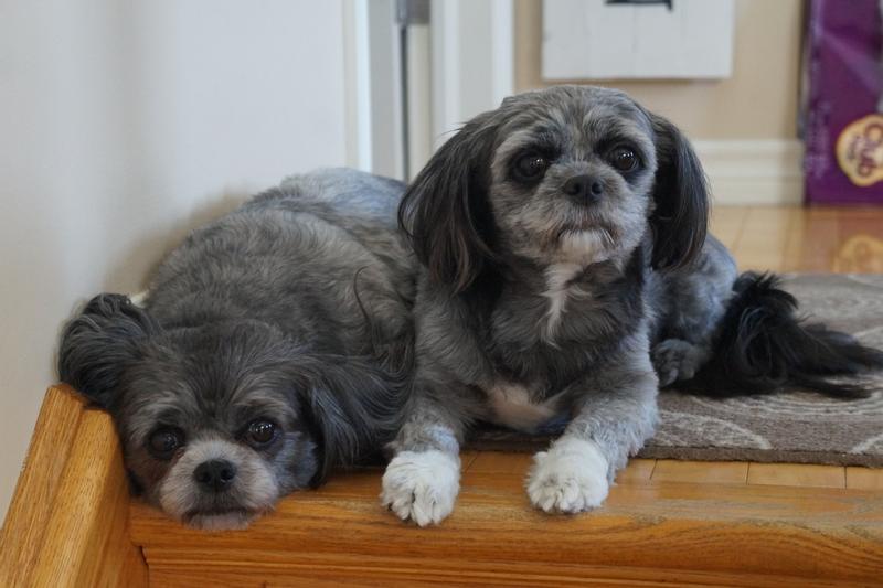 Waiting for my delivery!