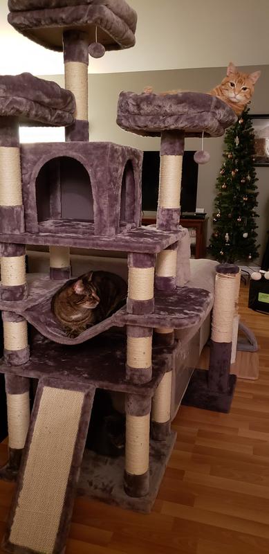 Crispin hanging on the hammock