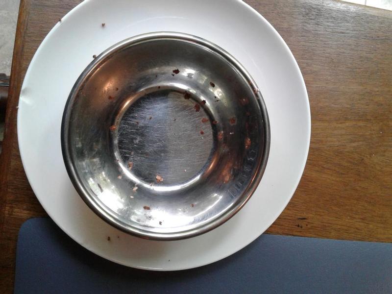 Bowl after cat has eaten