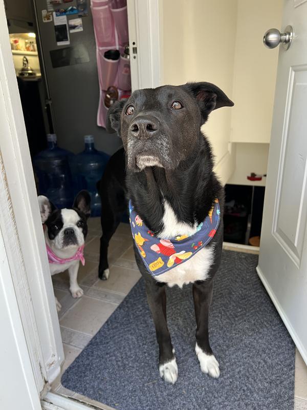 The happy boy & girl!