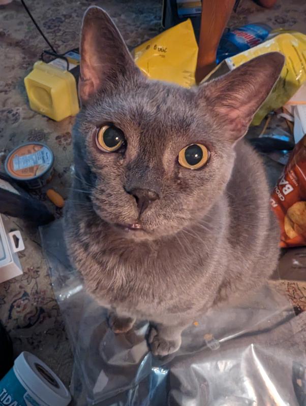 Likes but not loves them