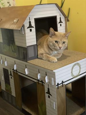 15lbs and still safe