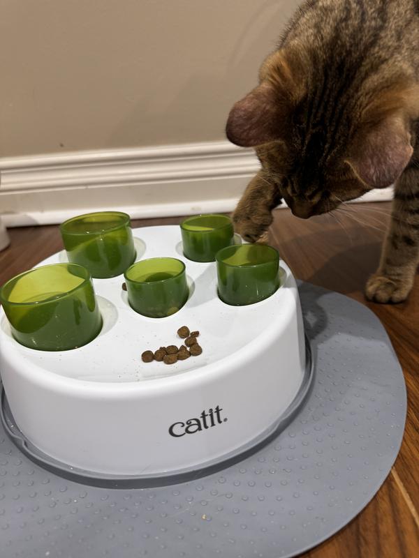 CATIT Senses 2.0 Digger Slow Cat Feeder Chewy Canada