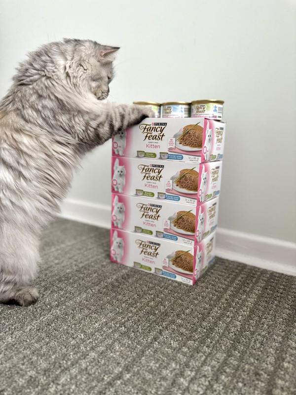 Need to dig in right now😻