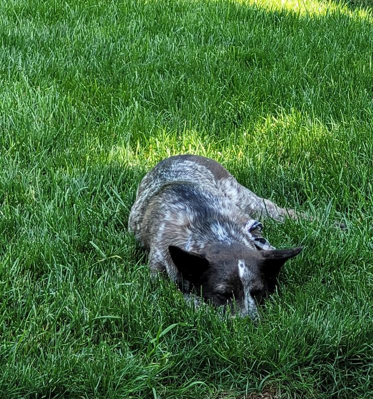 She's ready for the sneak attack!