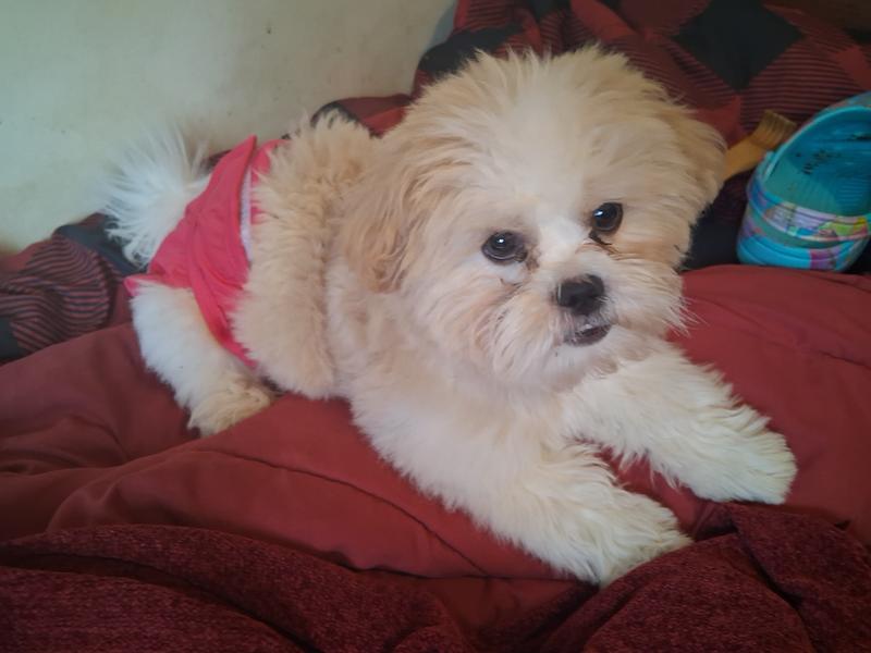 Suzie relaxing in her new sleepwear.