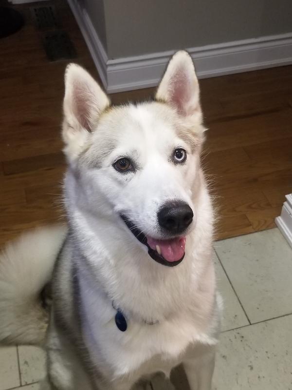 Only real bones please and thank you!