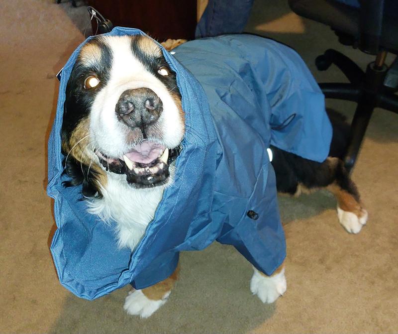 (Not adjusted to fit yet!)