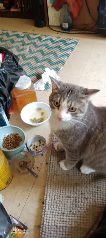 Dad can I have more I'll start my diet next week