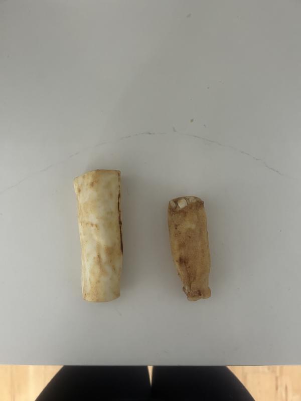 Bought in store vs ordered from chewy
