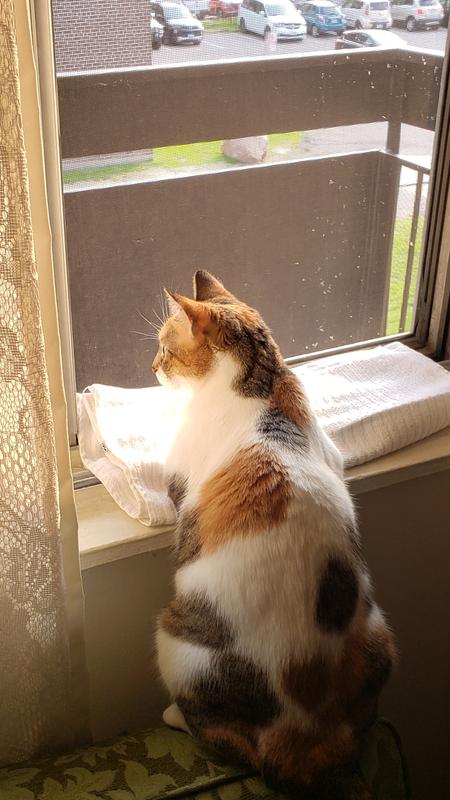 Tzel taking in the view.