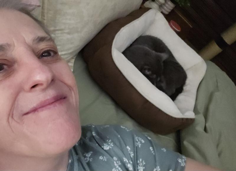 new cosy 'bedbed' !!