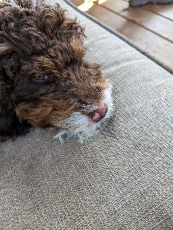 Heart shape nose pattern