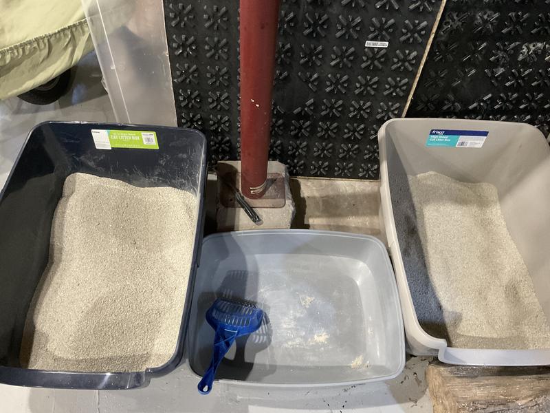 Go big, cats will thank you !